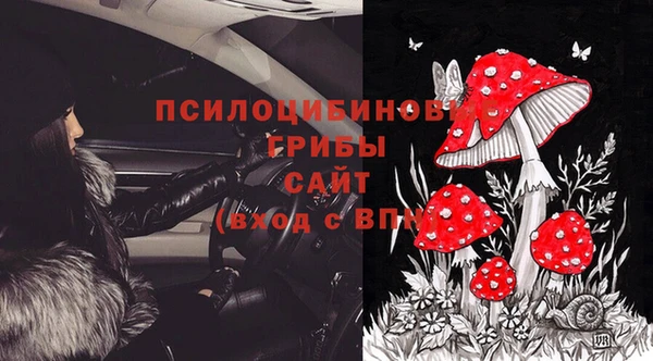 шишки Алексин