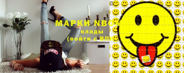 шишки Алексин
