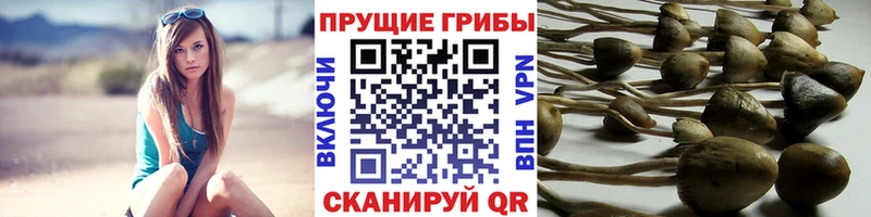 Псилоцибиновые грибы Magic Shrooms  Южно-Сахалинск 